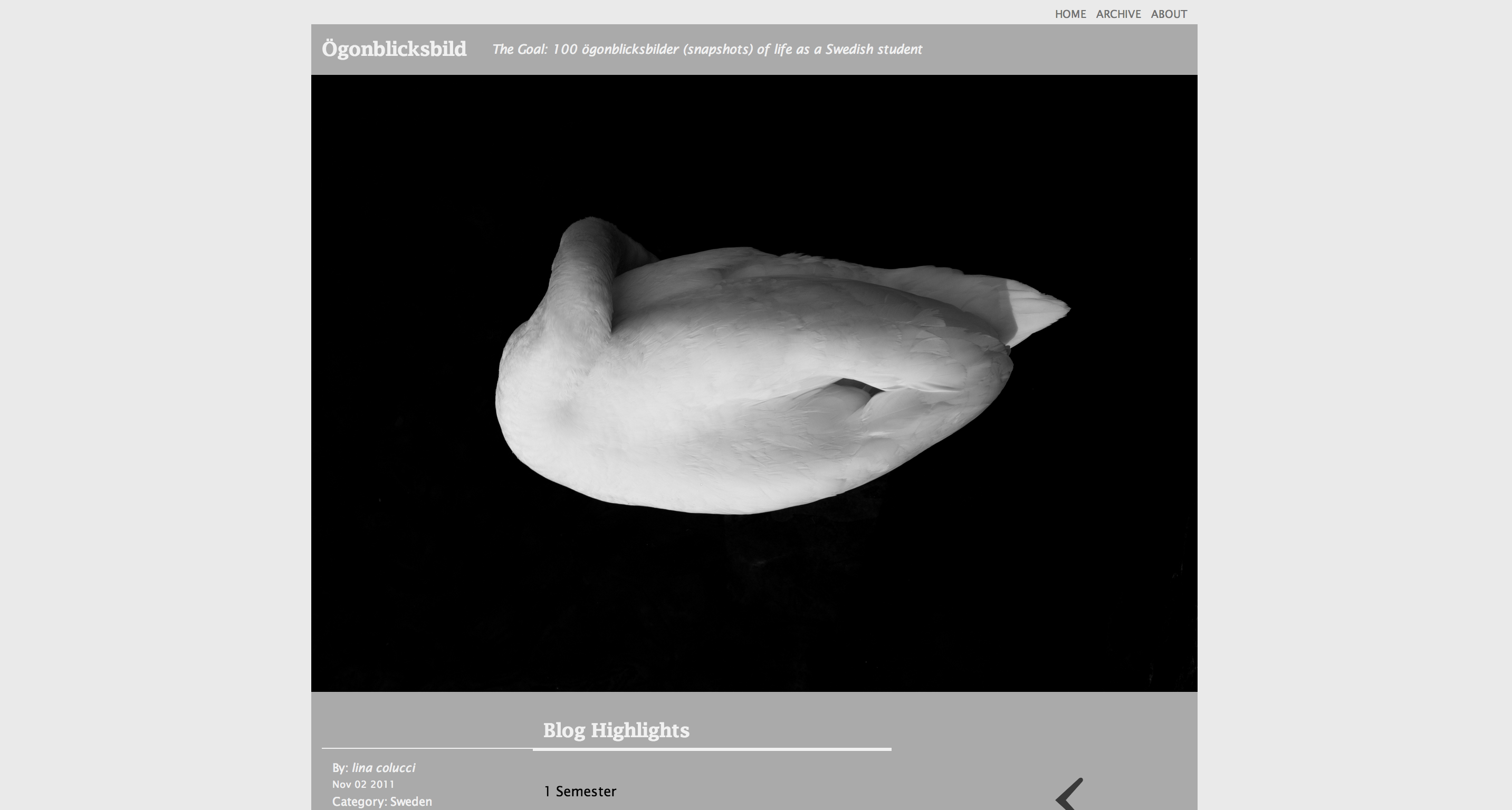 Screen Shot 2014-03-06 at 10.01.32 PM